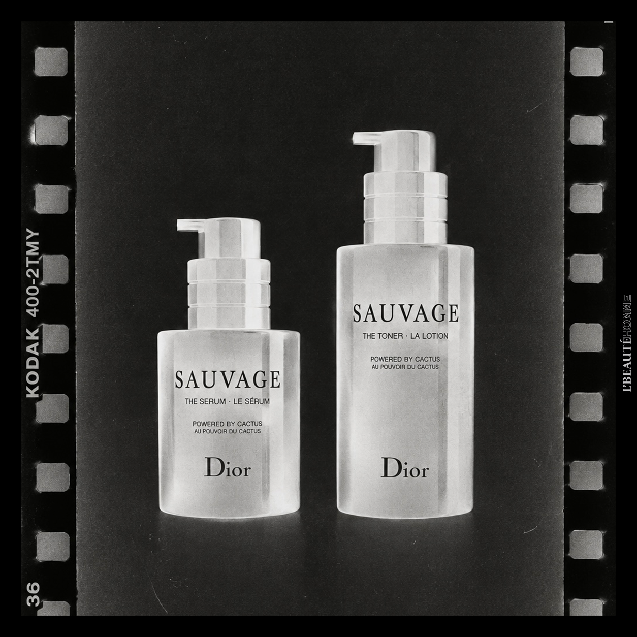 THE GROOMING RESET